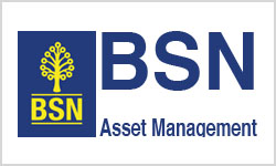 BSN Asset management